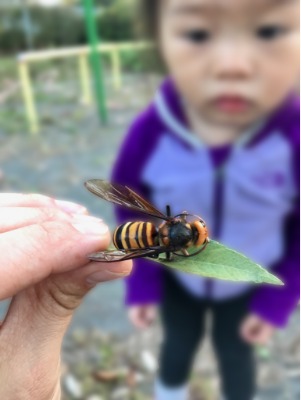 この日の献立、やさしさにて候 🌿