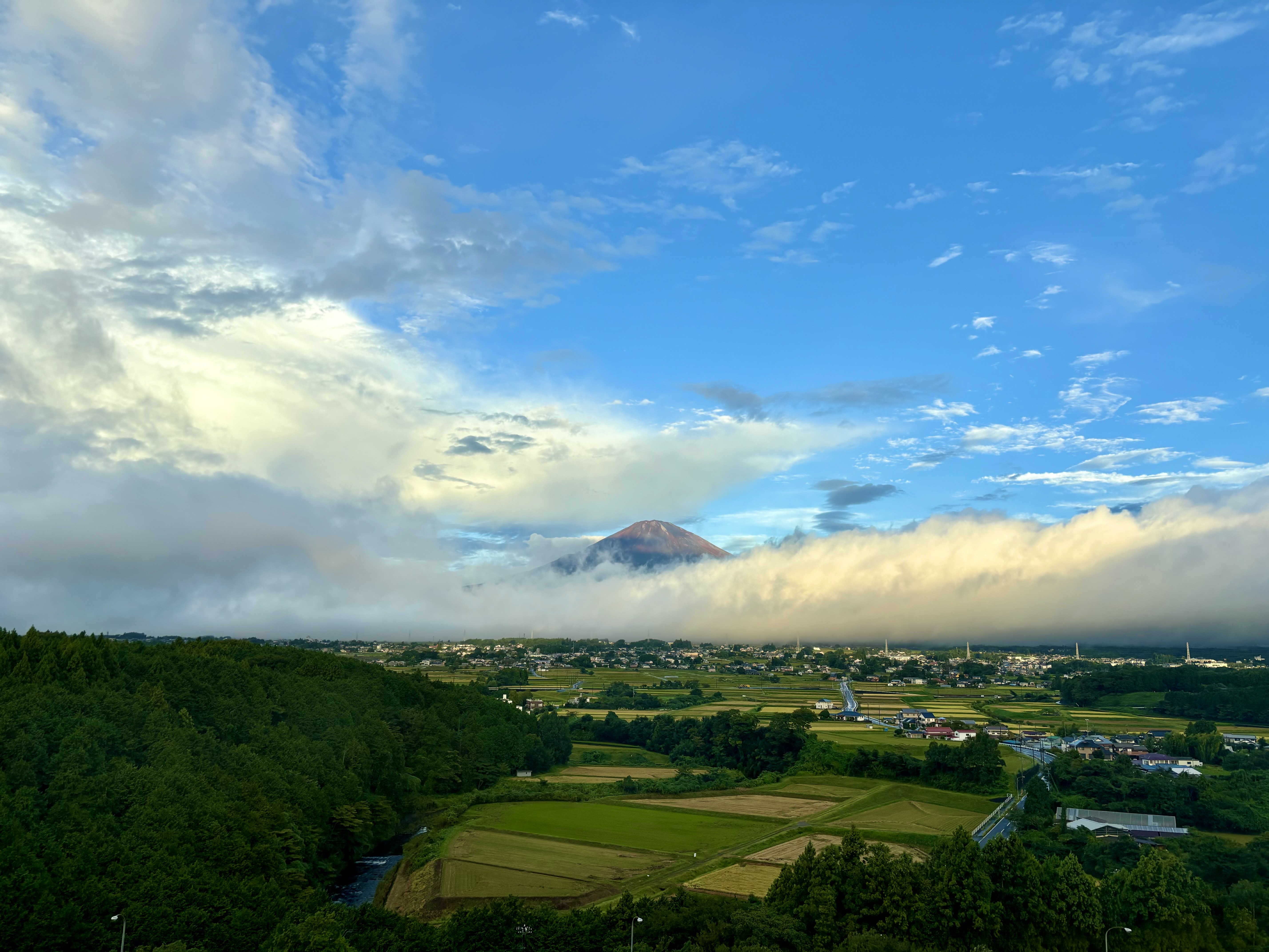 WEC Fuji Photo 4